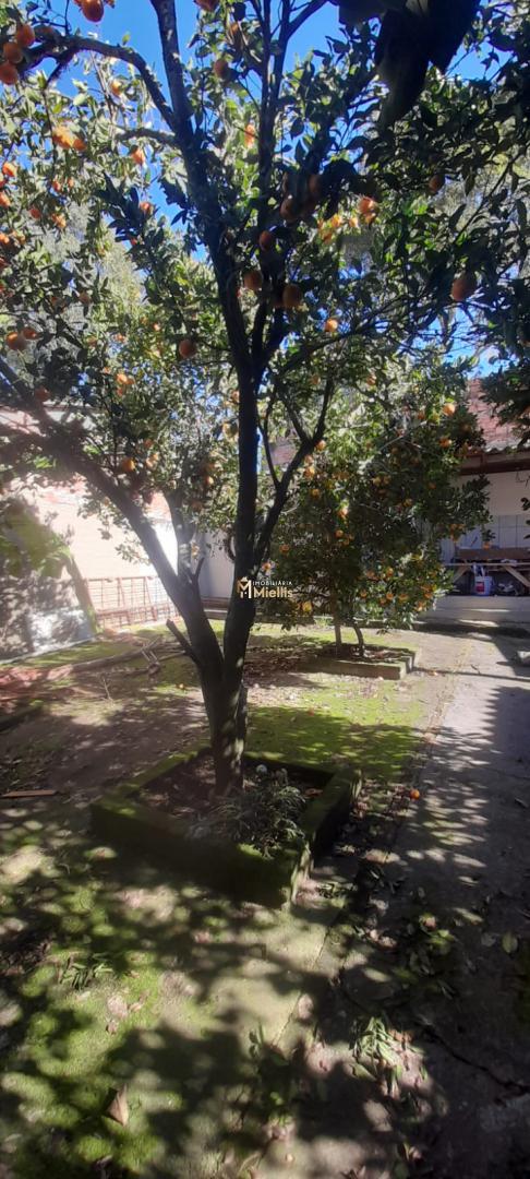 Casa, 3 quartos, 159 m² - Foto 16