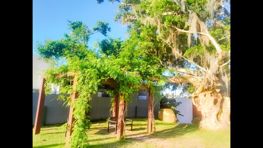 Terreno, 150 m² - Foto 7