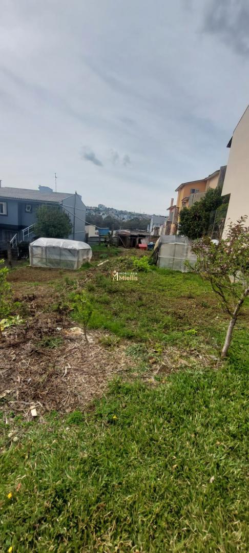 Terreno, 360 m² - Foto 4