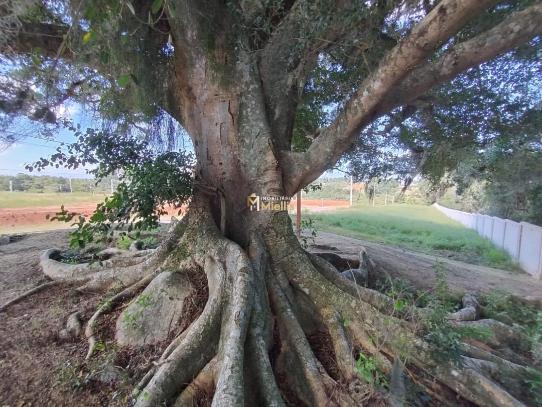 Terreno, 180 m² - Foto 4