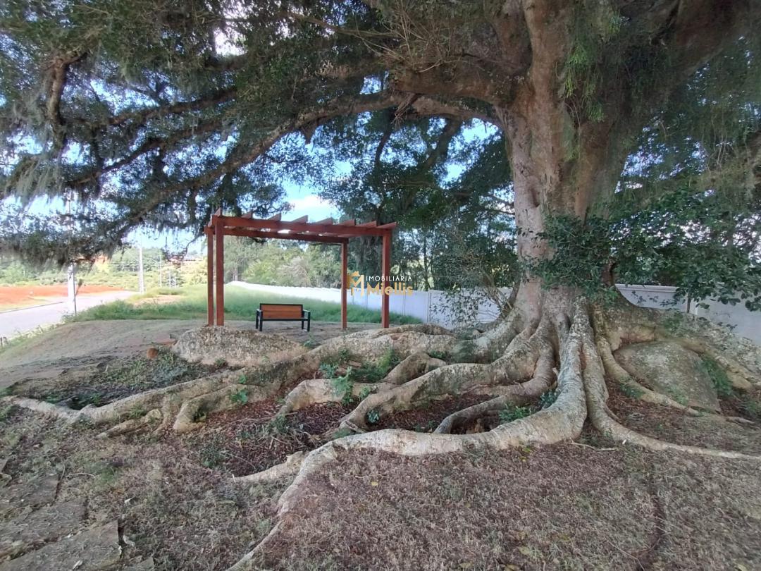 Terreno, 180 m² - Foto 1