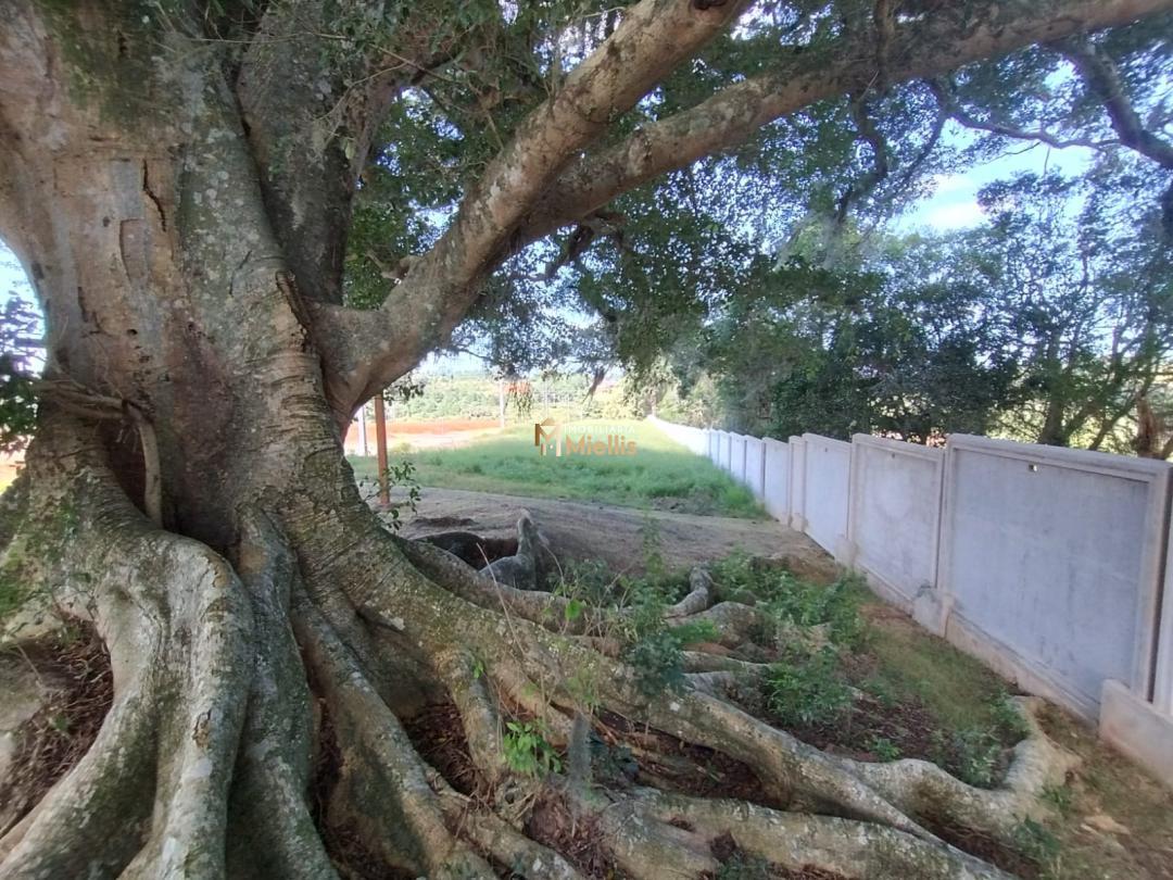 Terreno, 180 m² - Foto 45