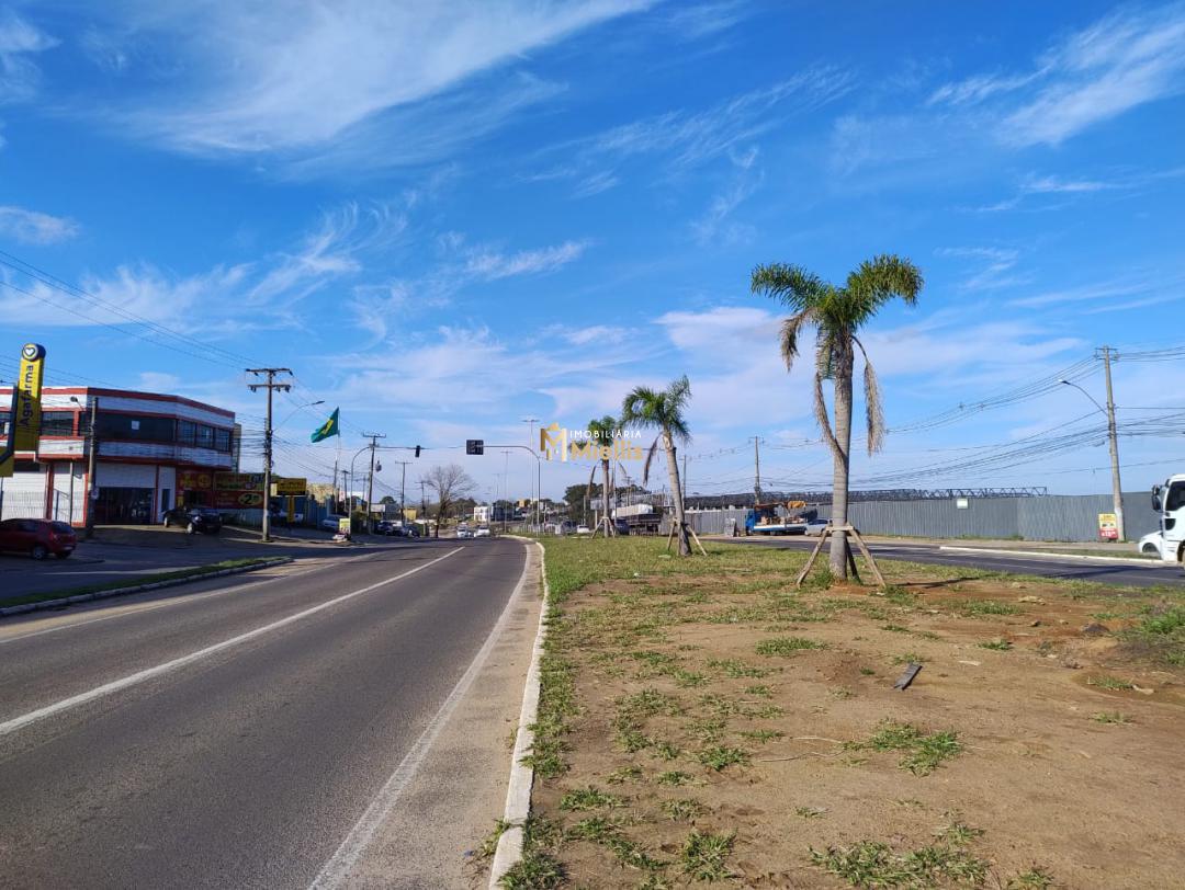 Apartamento, 5 quartos, 690 m² - Foto 6