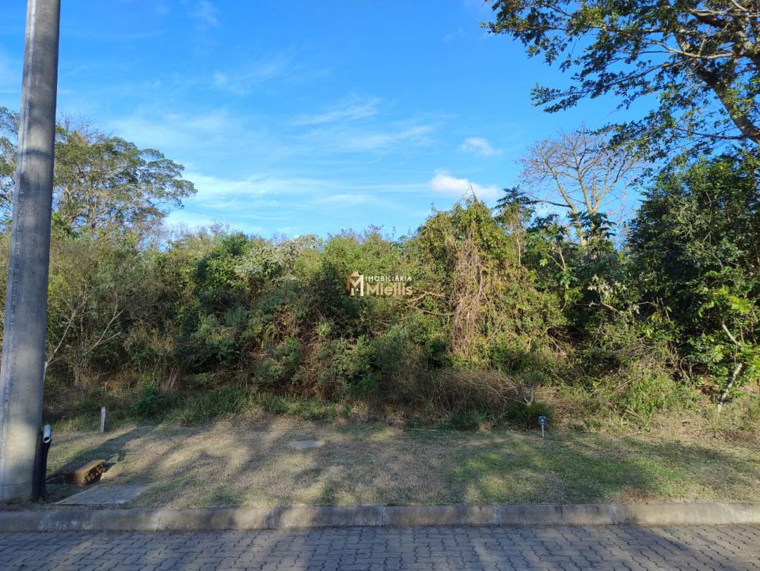 Terreno, 484 m² - Foto 4