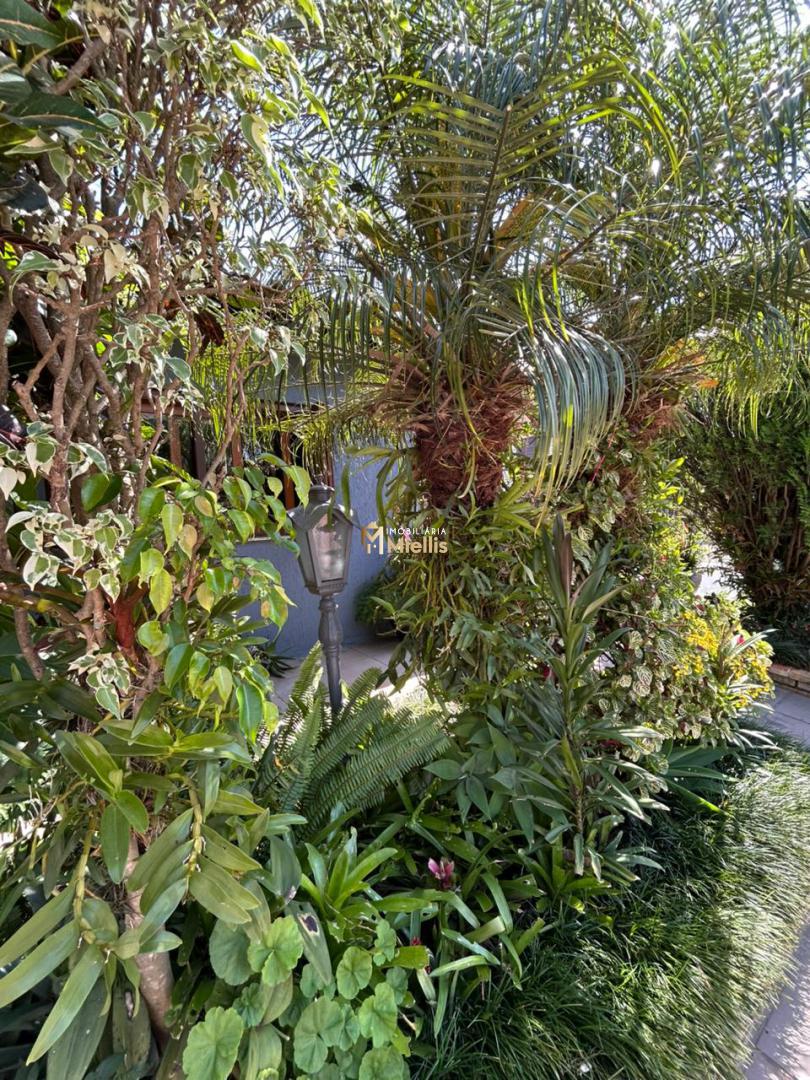Casa, 5 quartos, 305 m² - Foto 69