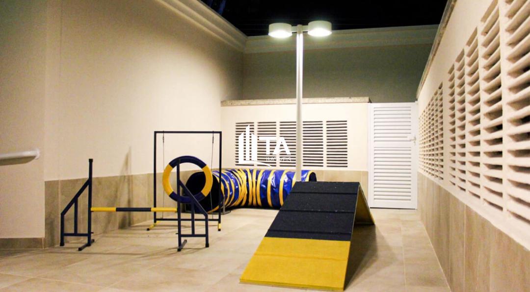 Apartamento, 3 quartos, 82 m² - Foto 21