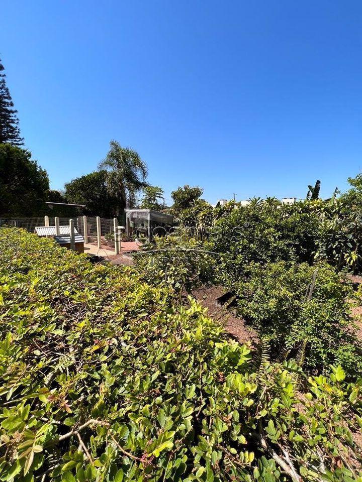 Casa, 2 quartos, 1 m² - Foto 10