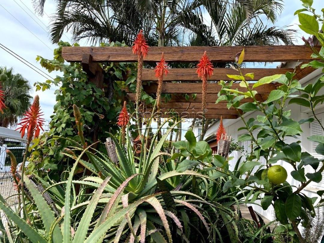 Casa, 5 quartos, 380 m² - Foto 4