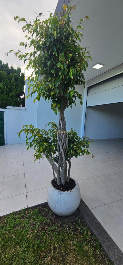 Casa, 3 quartos, 151 m² - Foto 20