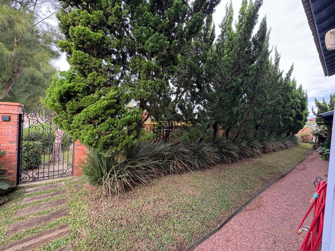 Casa, 4 quartos, 266 m² - Foto 7