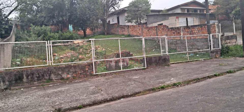 Terreno, 450 m² - Foto 3