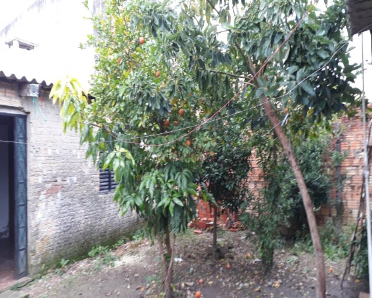 Casa, 3 quartos, 270 m² - Foto 14