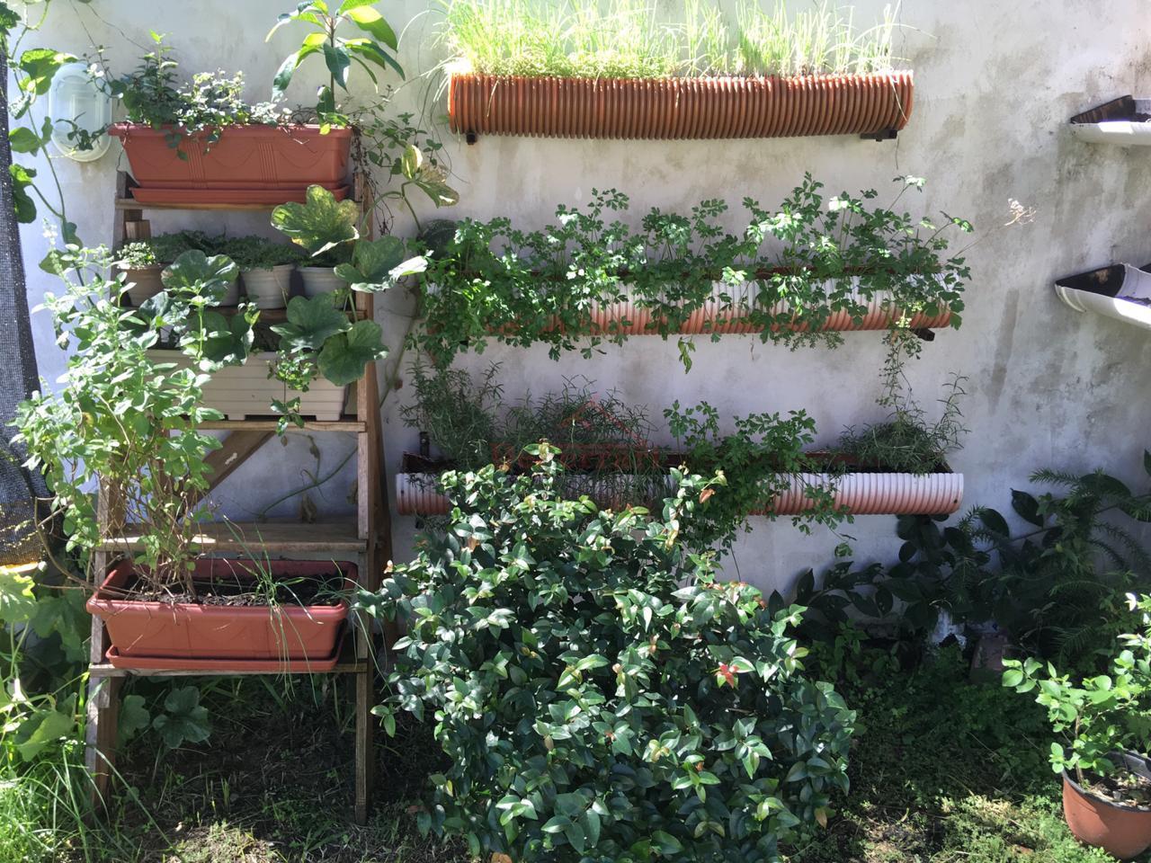 Casa, 3 quartos, 600 m² - Foto 17