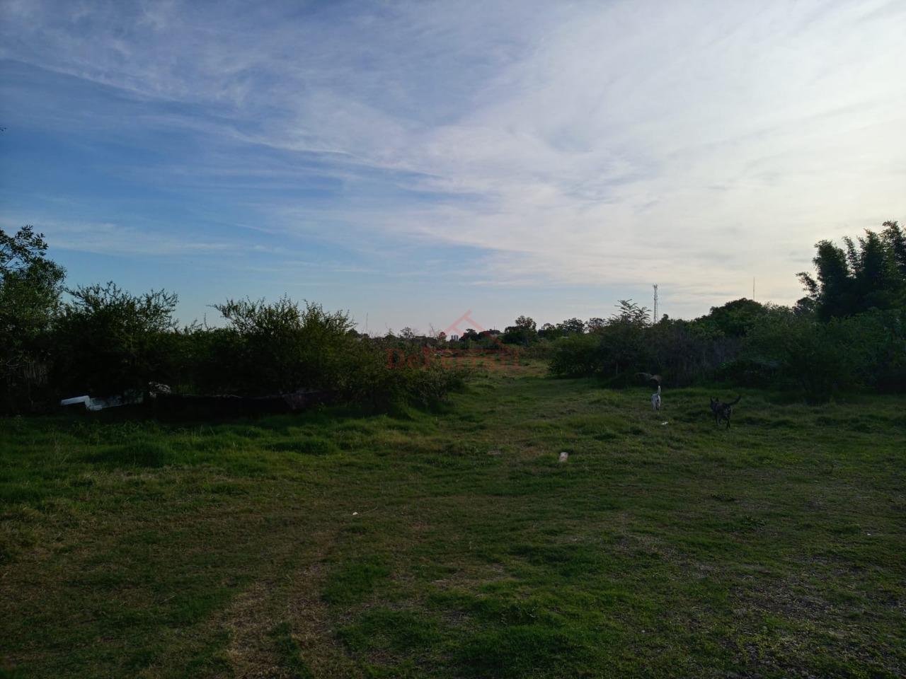 Terreno, 278330 m² - Foto 25