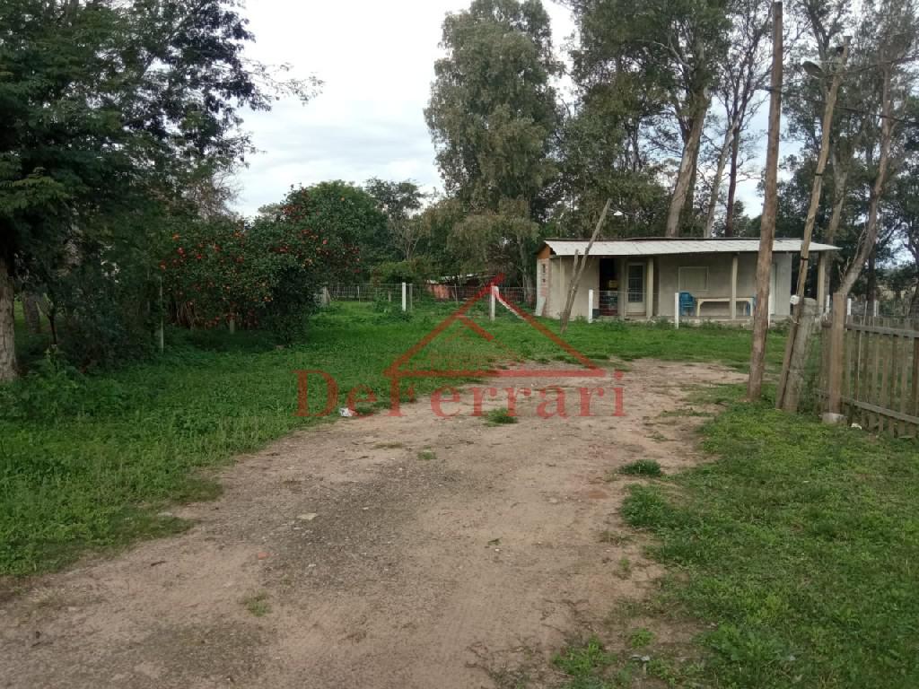 Sítio, 2 quartos, 800 m² - Foto 8