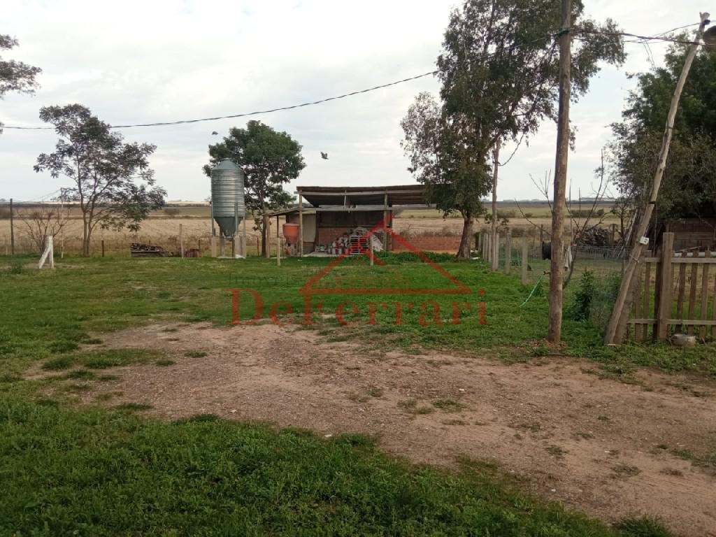 Sítio, 2 quartos, 800 m² - Foto 10