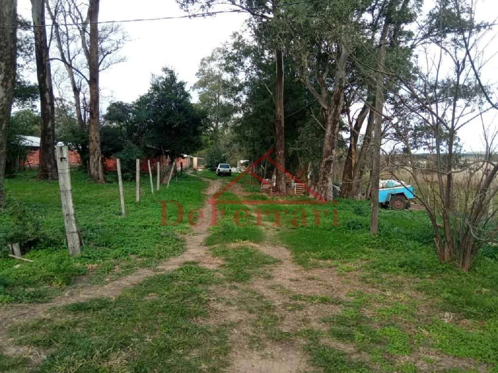 Sítio, 2 quartos, 800 m² - Foto 11