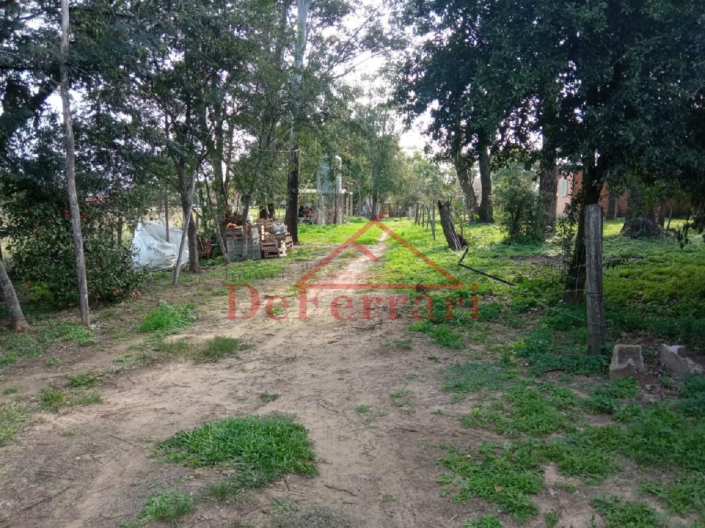 Sítio, 2 quartos, 800 m² - Foto 12