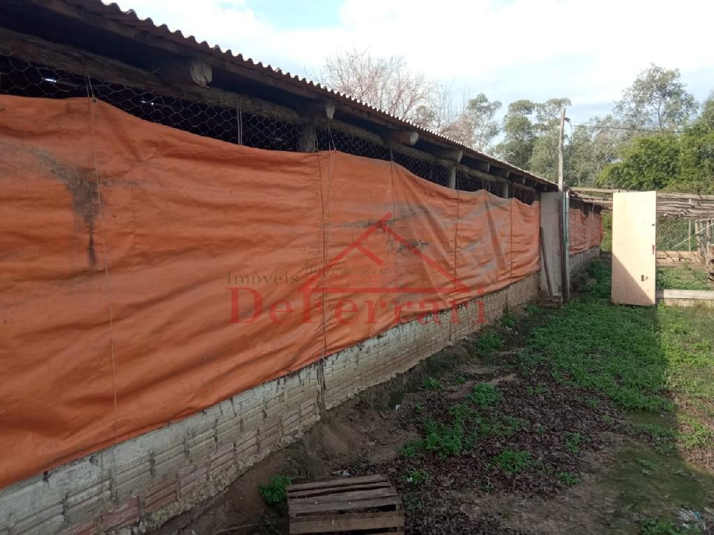 Sítio, 2 quartos, 800 m² - Foto 16