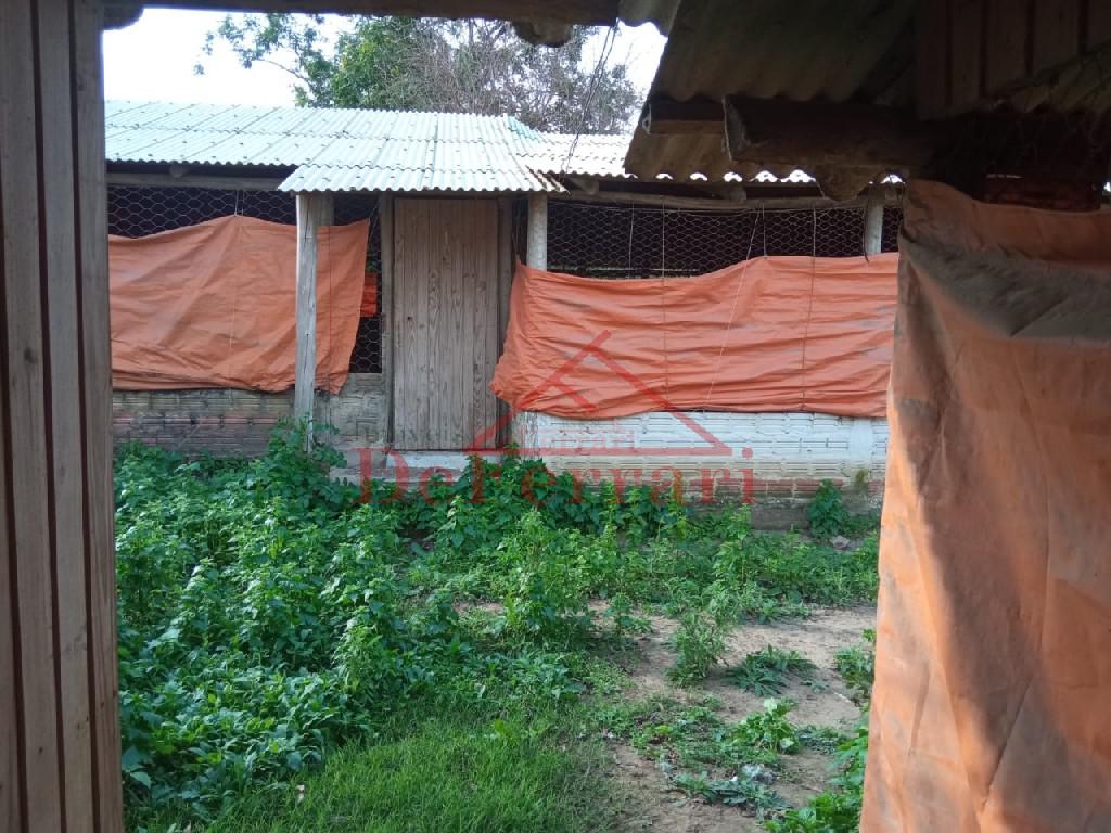 Sítio, 2 quartos, 800 m² - Foto 17