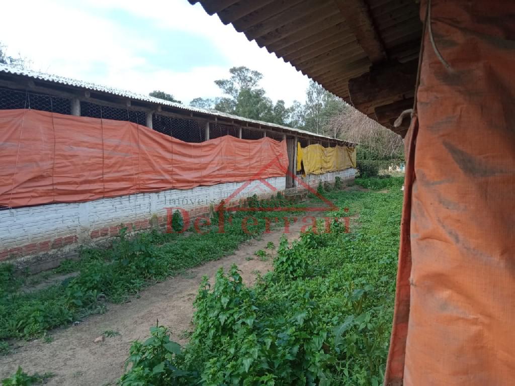 Sítio, 2 quartos, 800 m² - Foto 18