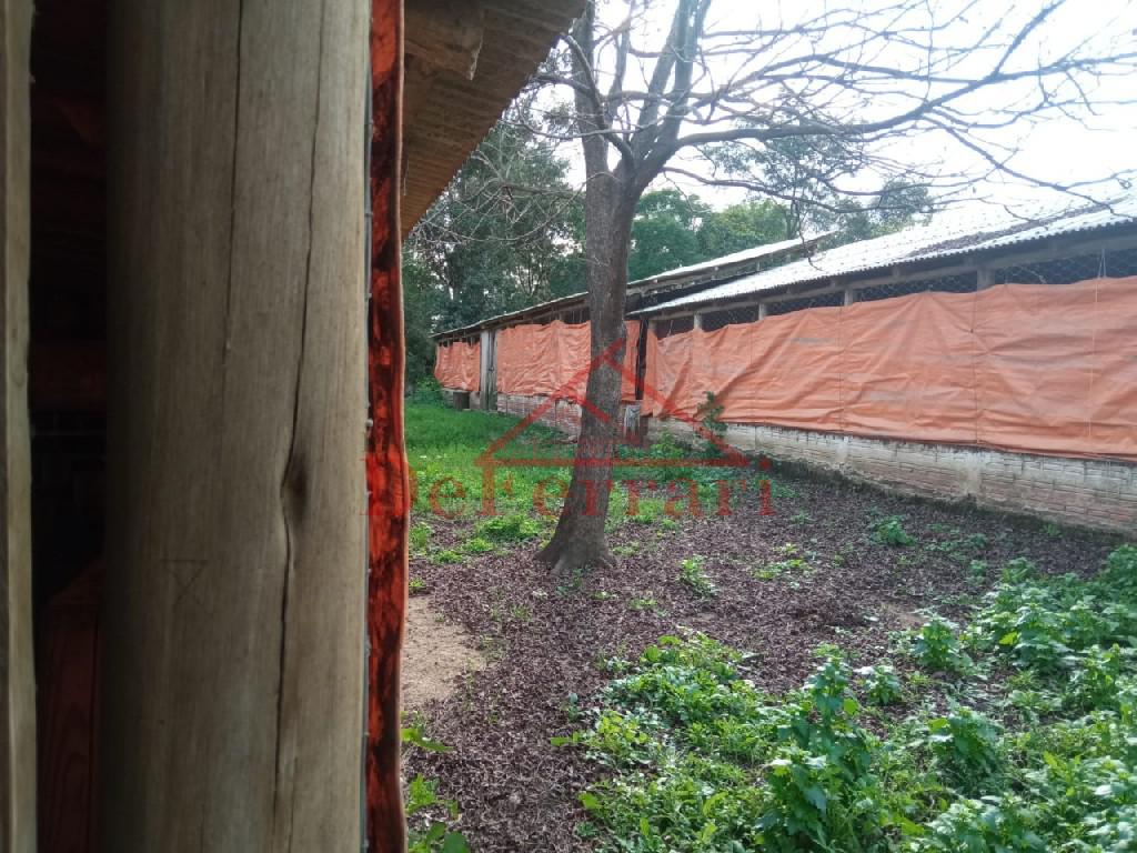 Sítio, 2 quartos, 800 m² - Foto 19