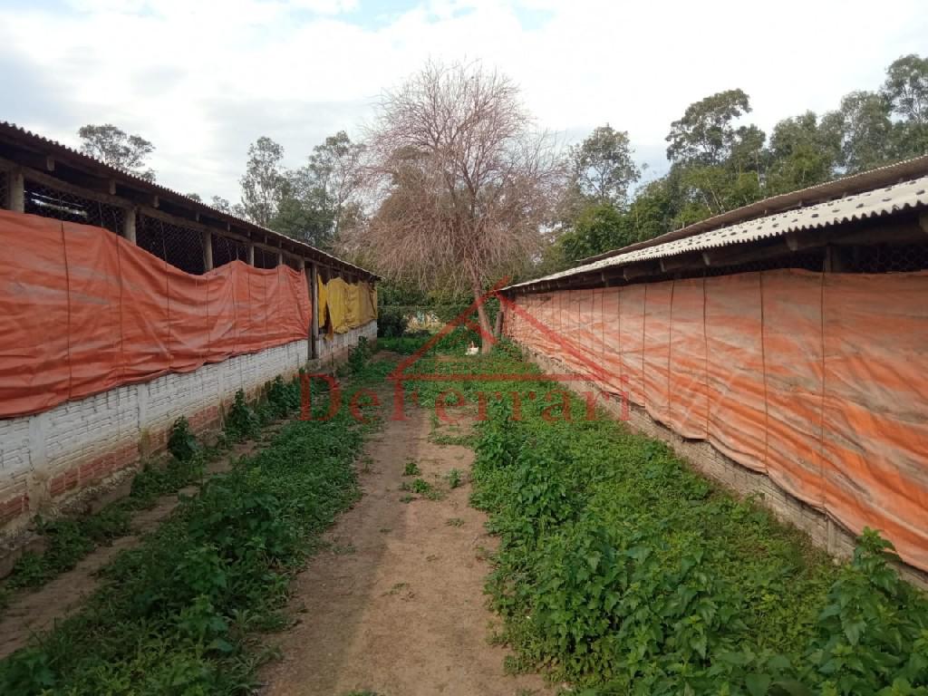 Sítio, 2 quartos, 800 m² - Foto 20