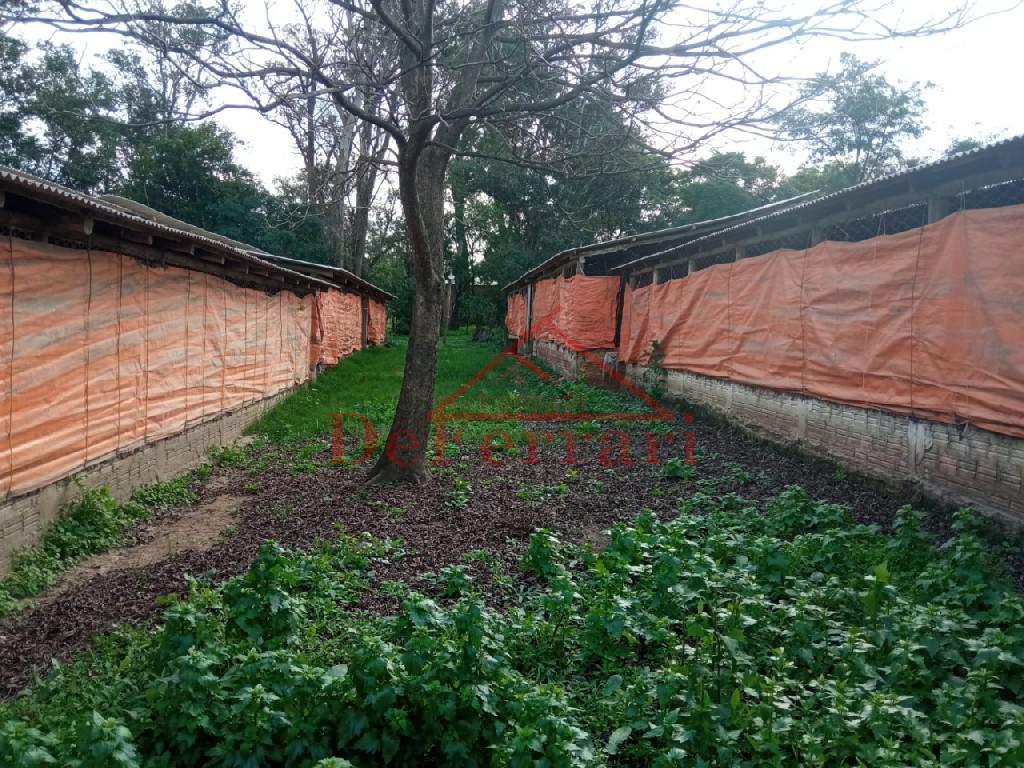 Sítio, 2 quartos, 800 m² - Foto 21