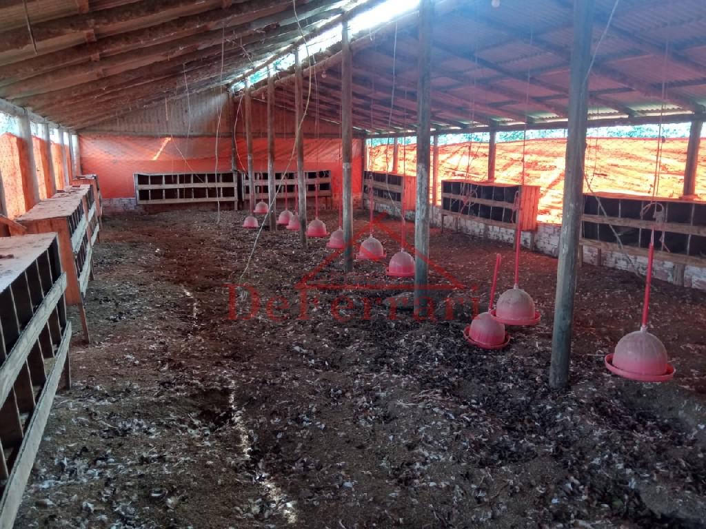 Sítio, 2 quartos, 800 m² - Foto 22