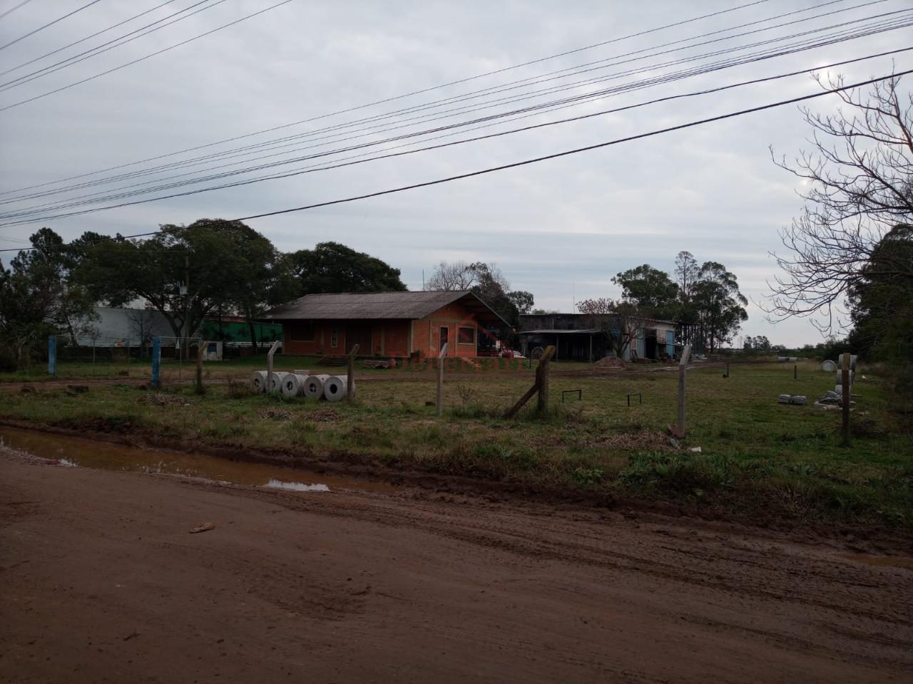 Depósito-Galpão, 15000 m² - Foto 2