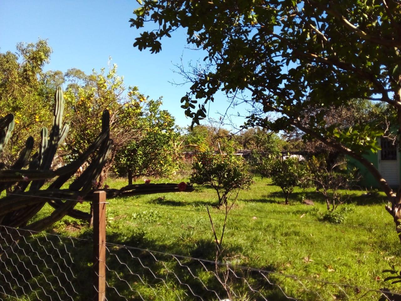 Chácara, 2 quartos - Foto 3