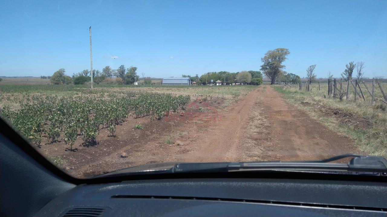 Fazenda - Foto 4