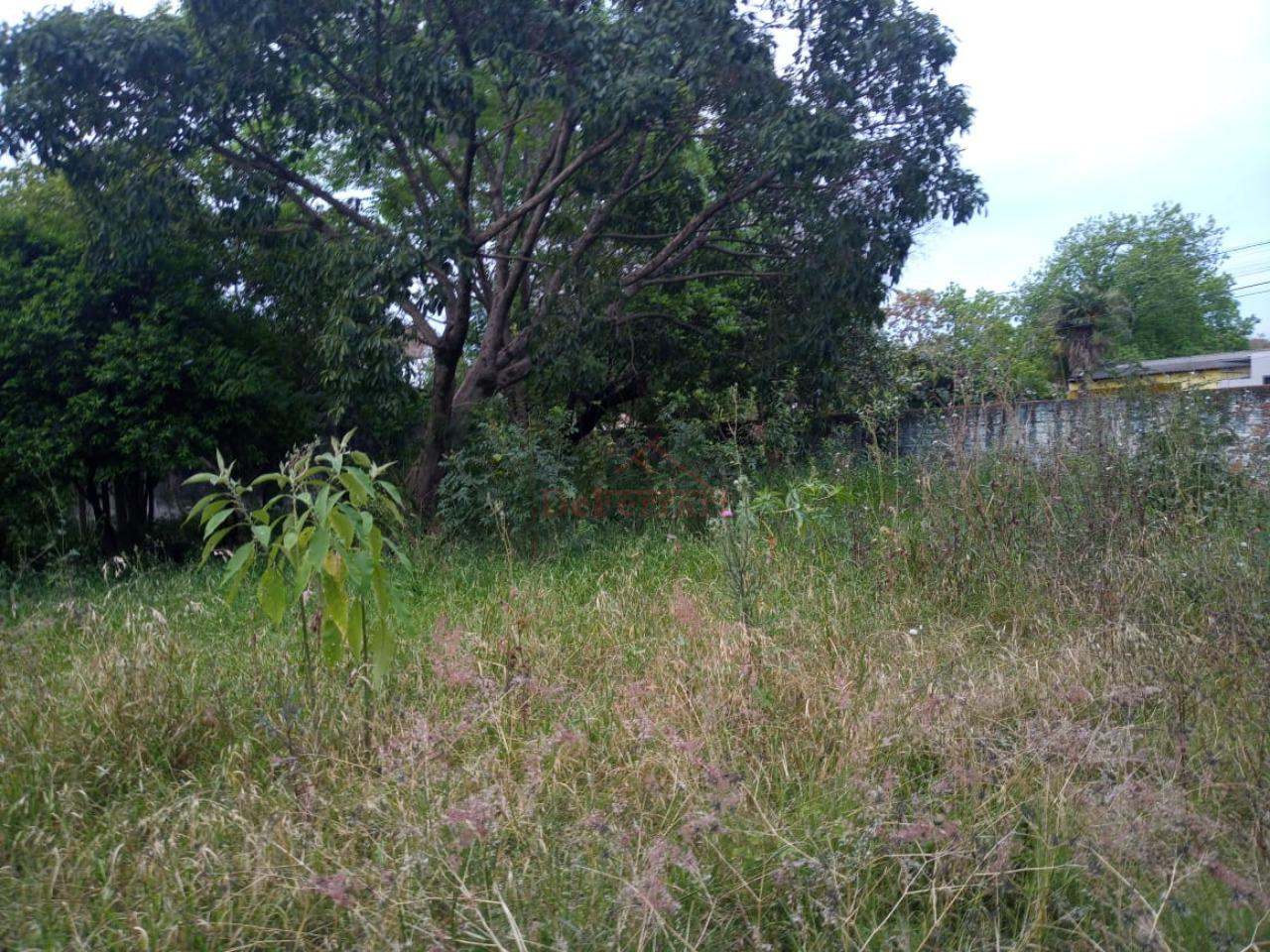 Terreno, 696 m² - Foto 5