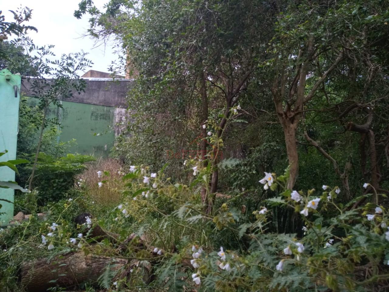 Terreno, 696 m² - Foto 9