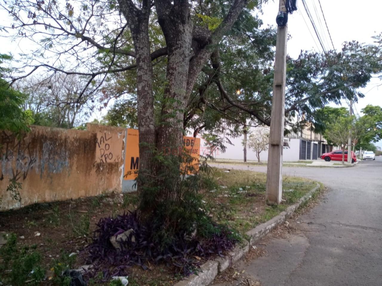 Terreno, 696 m² - Foto 12