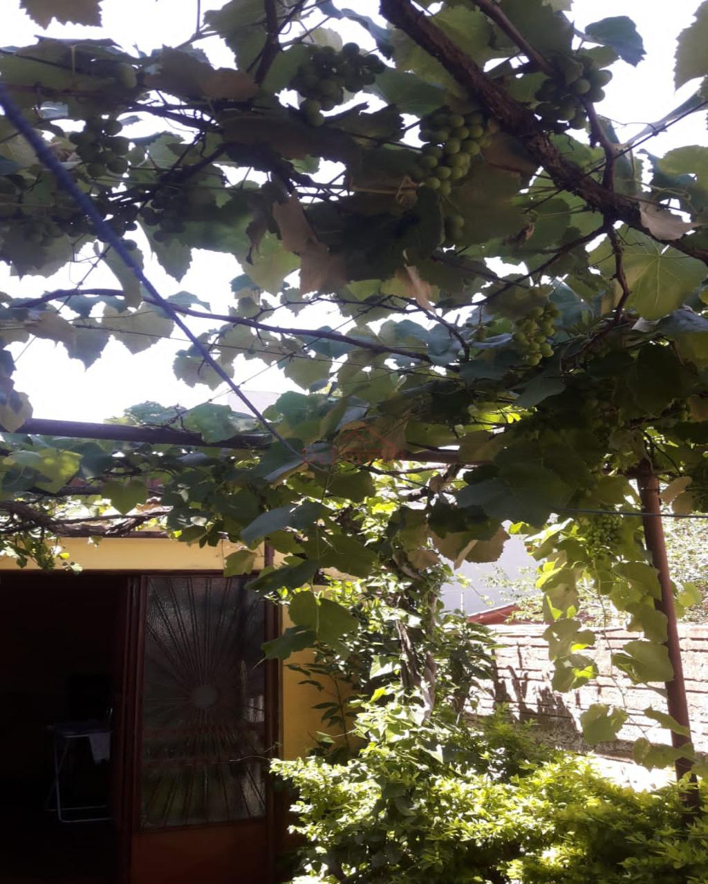 Casa, 3 quartos, 396 m² - Foto 34