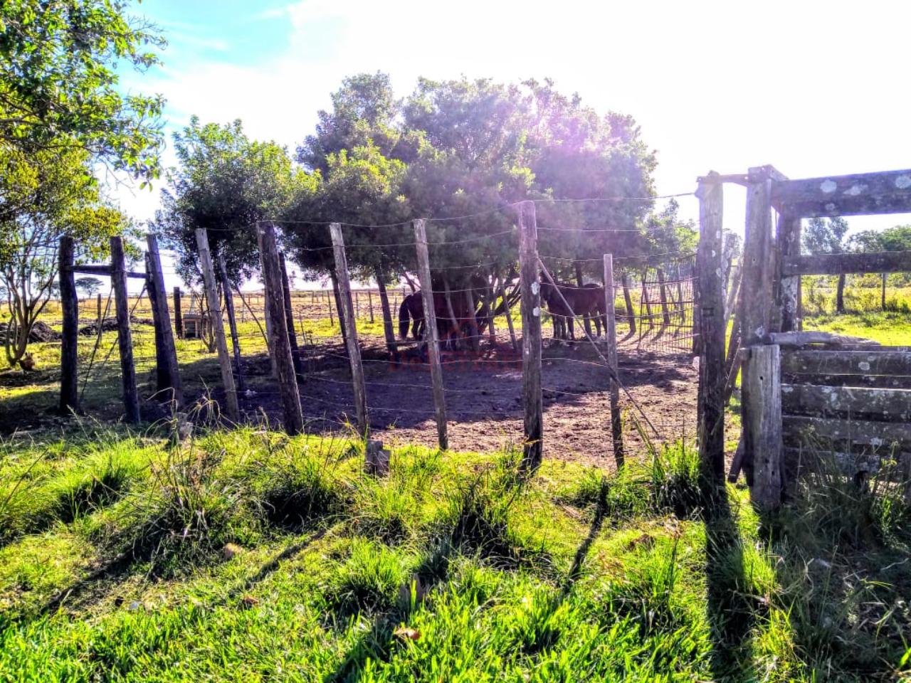 Terreno, 170000 m² - Foto 17