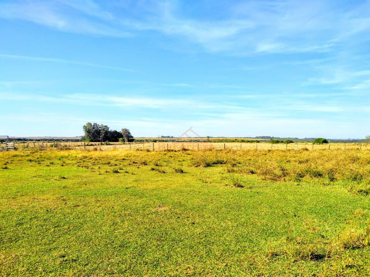 Terreno, 170000 m² - Foto 15