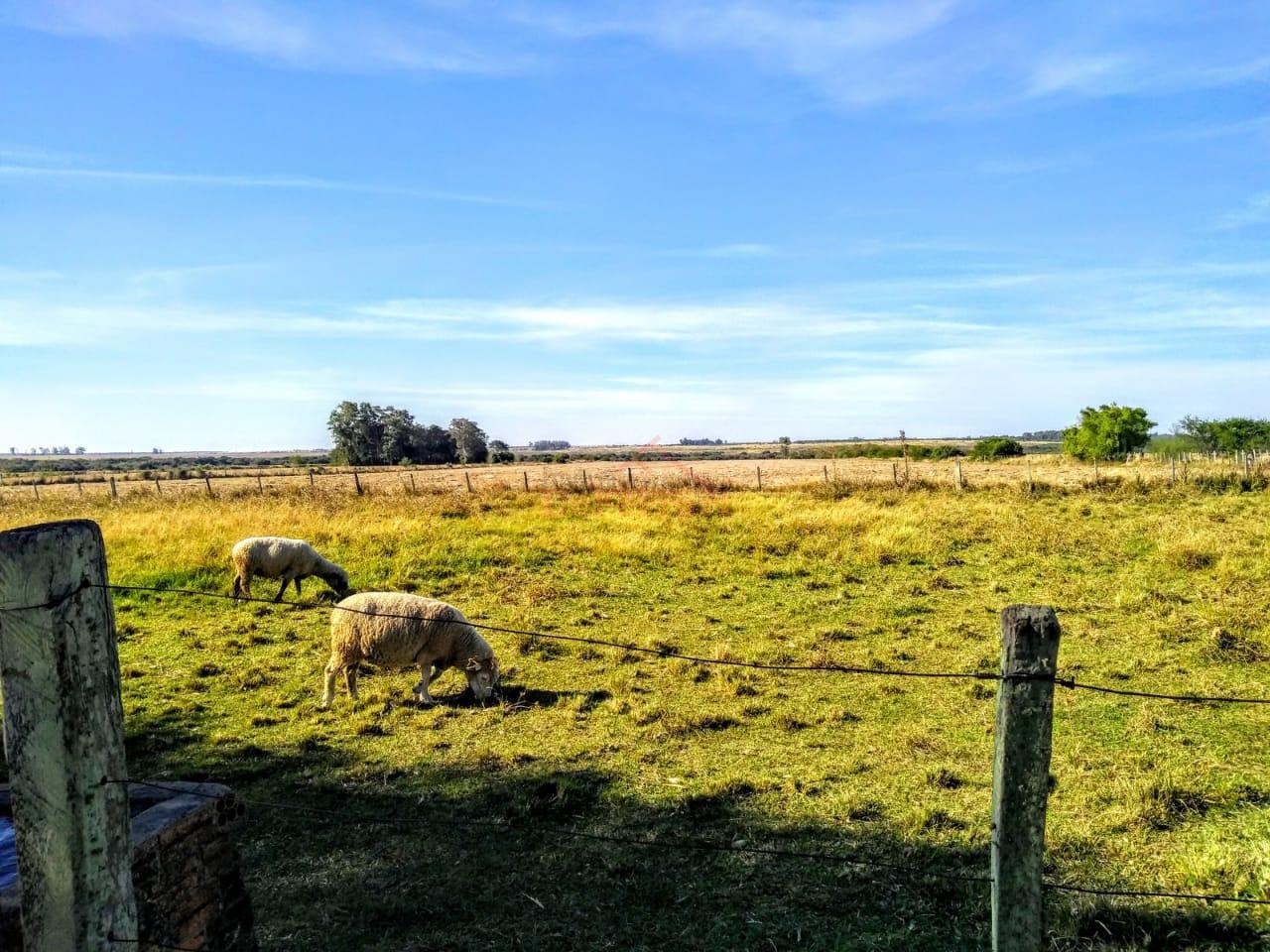 Terreno, 170000 m² - Foto 18