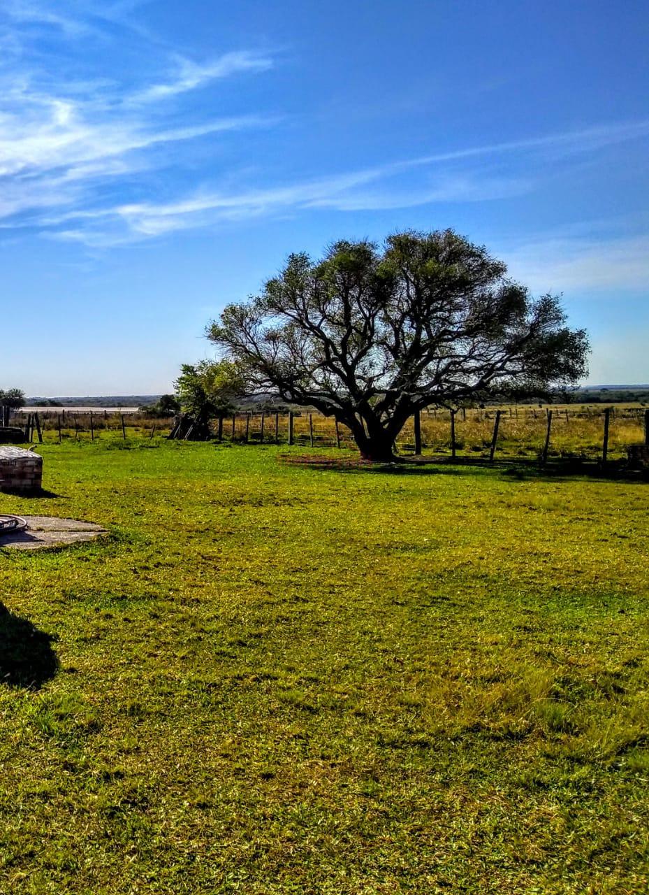 Terreno, 170000 m² - Foto 19