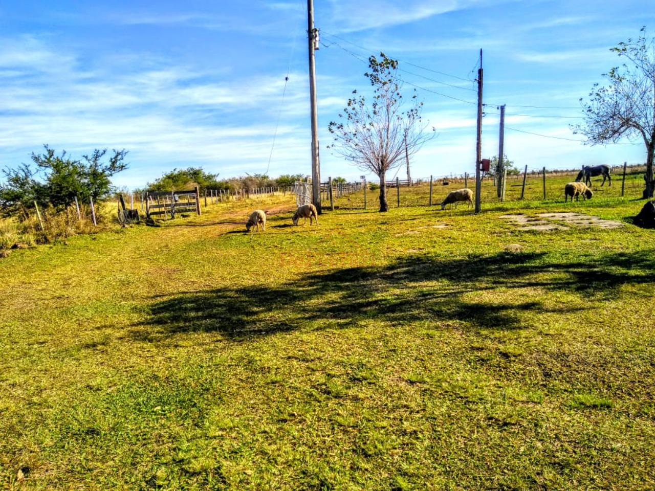 Terreno, 170000 m² - Foto 20