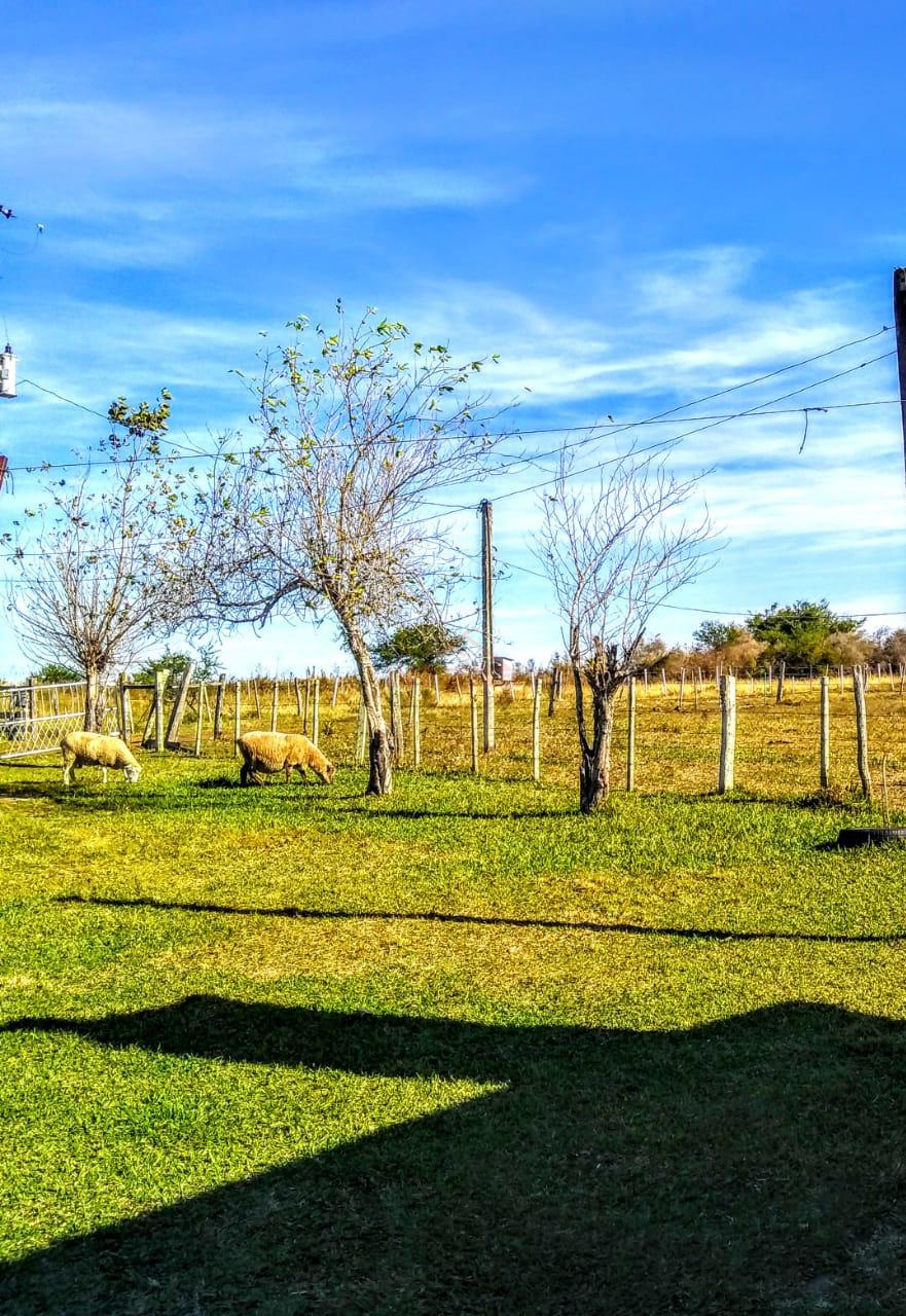 Terreno, 170000 m² - Foto 21