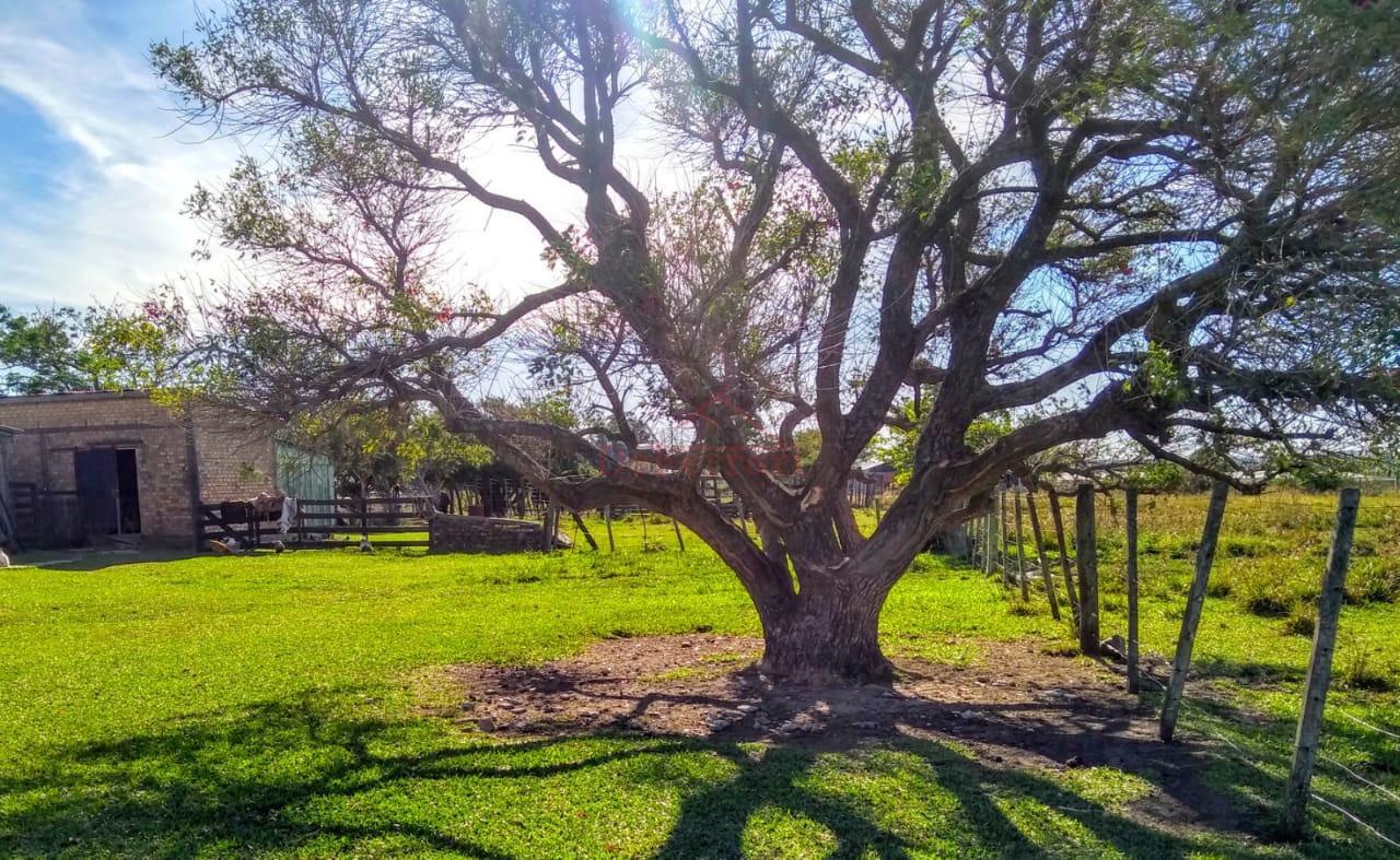 Terreno, 170000 m² - Foto 6