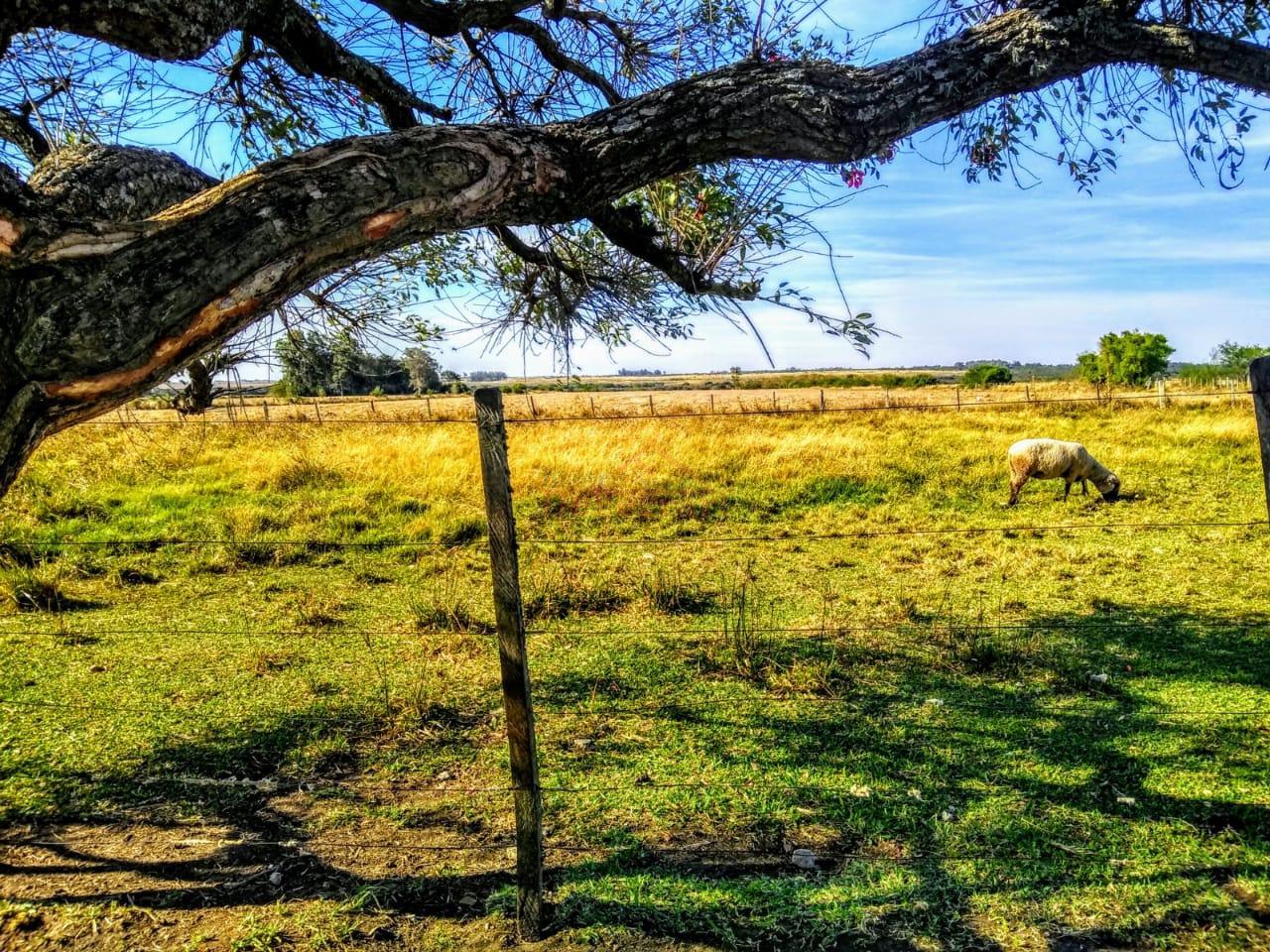 Terreno, 170000 m² - Foto 22