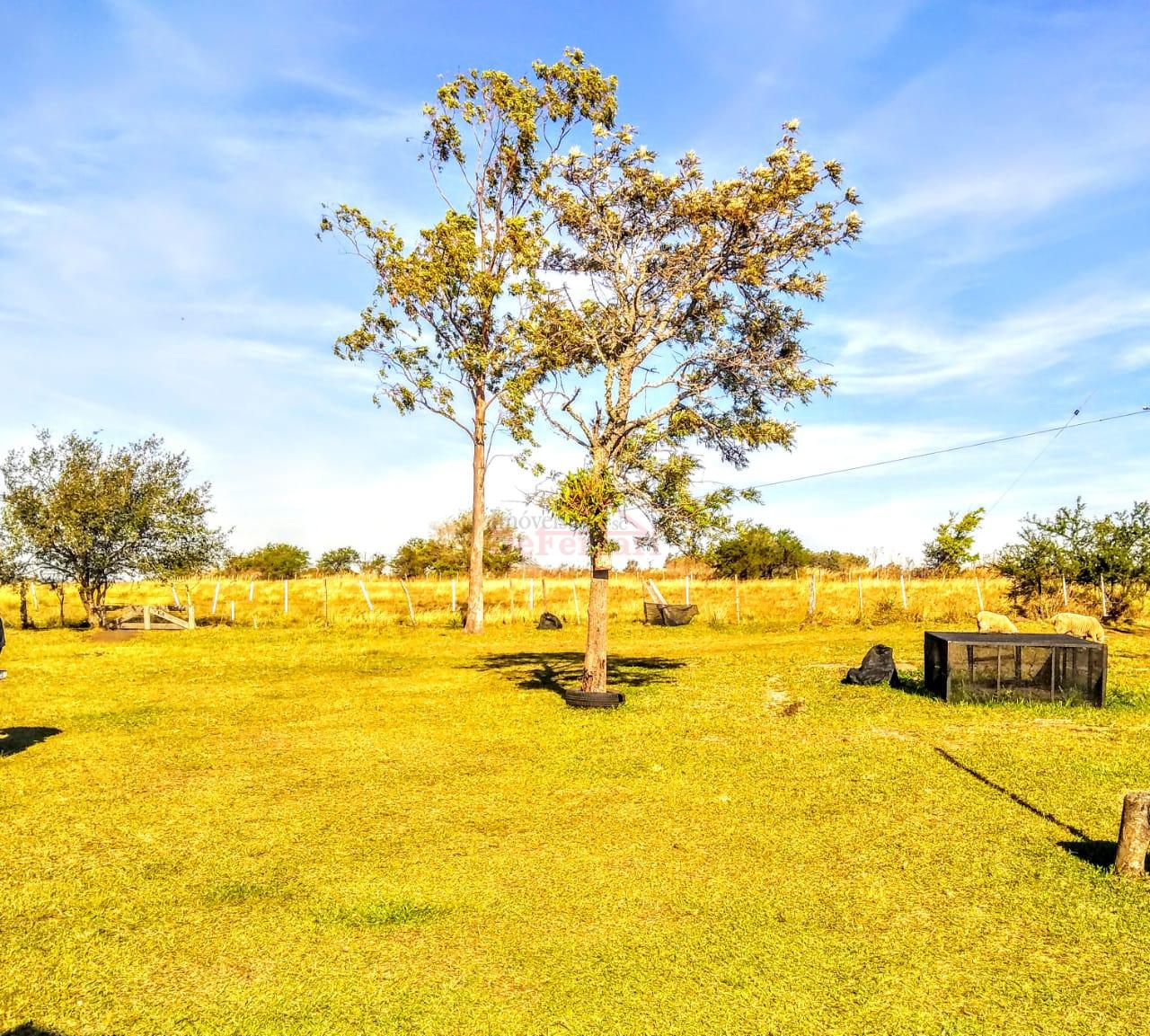 Terreno, 170000 m² - Foto 23