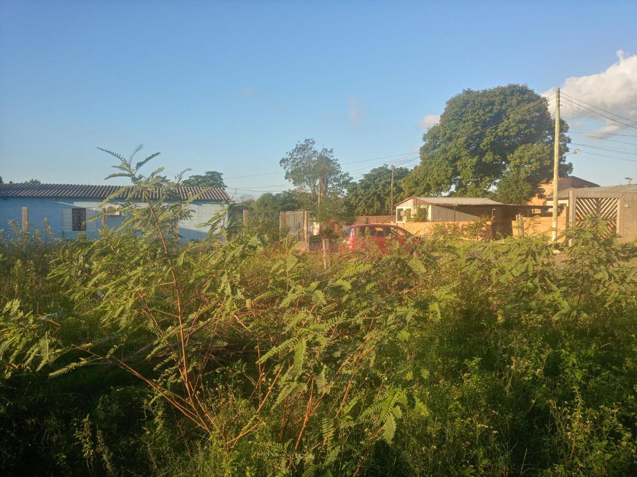 Terreno, 1168 m² - Foto 3