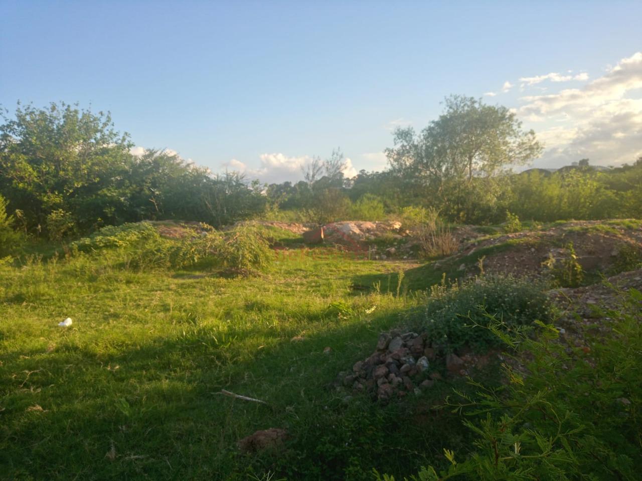 Terreno, 1168 m² - Foto 2