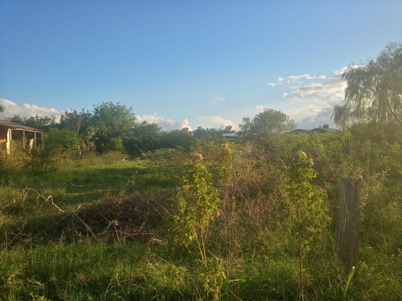 Terreno, 1168 m² - Foto 5