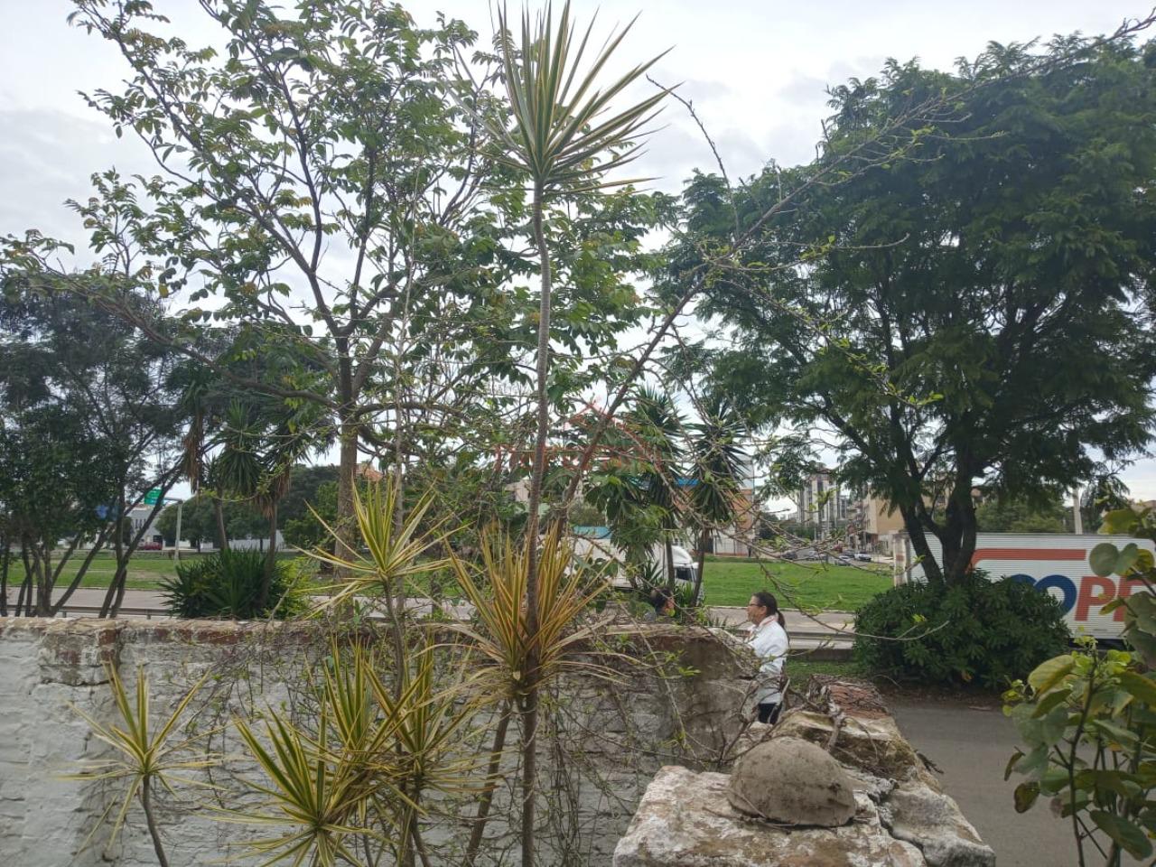 Casa, 3 quartos - Foto 21