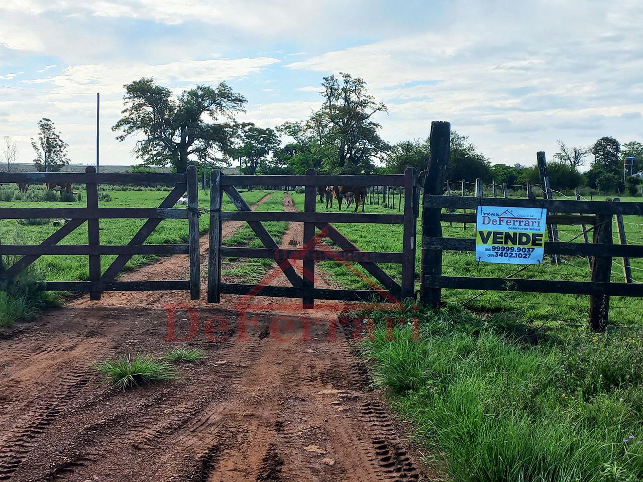 Fazenda, 5 quartos - Foto 1